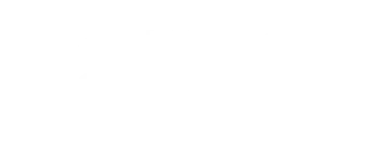 BW Solutions Logo